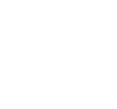 Lunxt logo